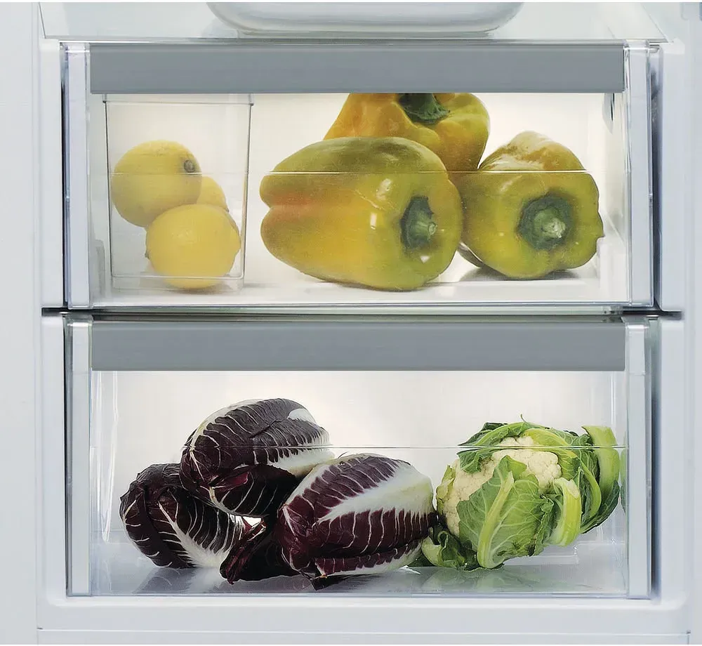 Whirlpool ARG 18081 A++ refrigerator interior view