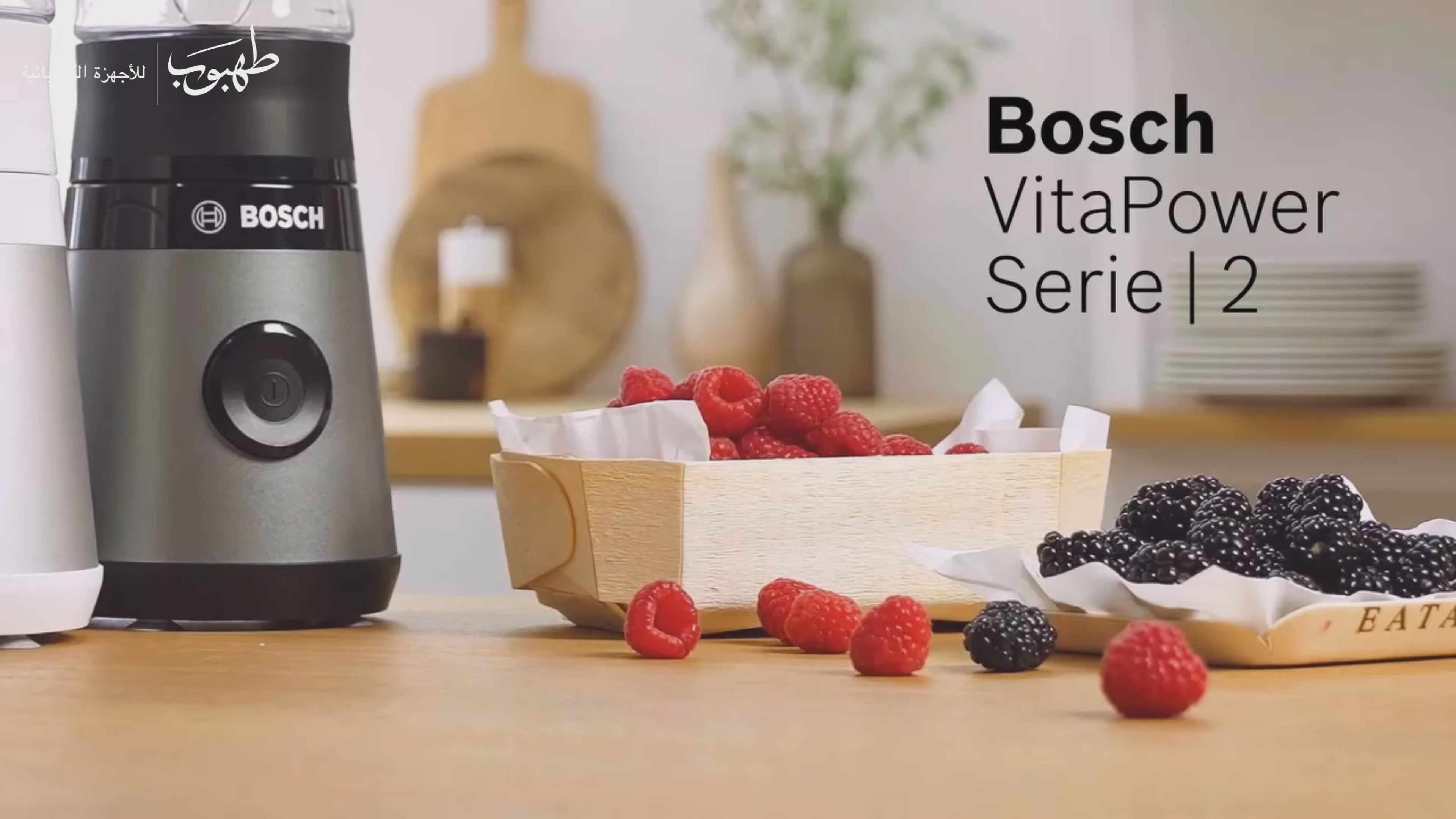 Bosch MMB2111S Blender Vita Power Serie2 450W Silver product video